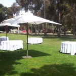 Unbrella & Table Hire